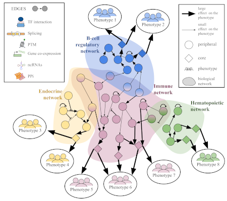 Genetic studies through the lens of gene networks.