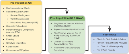 Quality Control Procedures for Genome-Wide Association Studies.