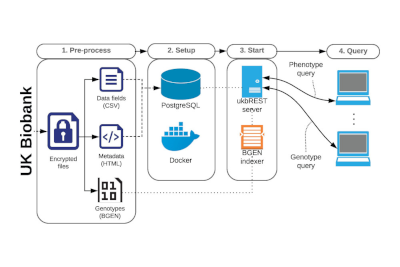 ukbREST: efficient and streamlined data access for reproducible research in large biobanks